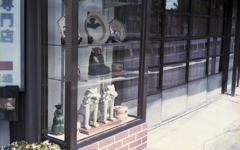 陶器店のショーウィンドウ