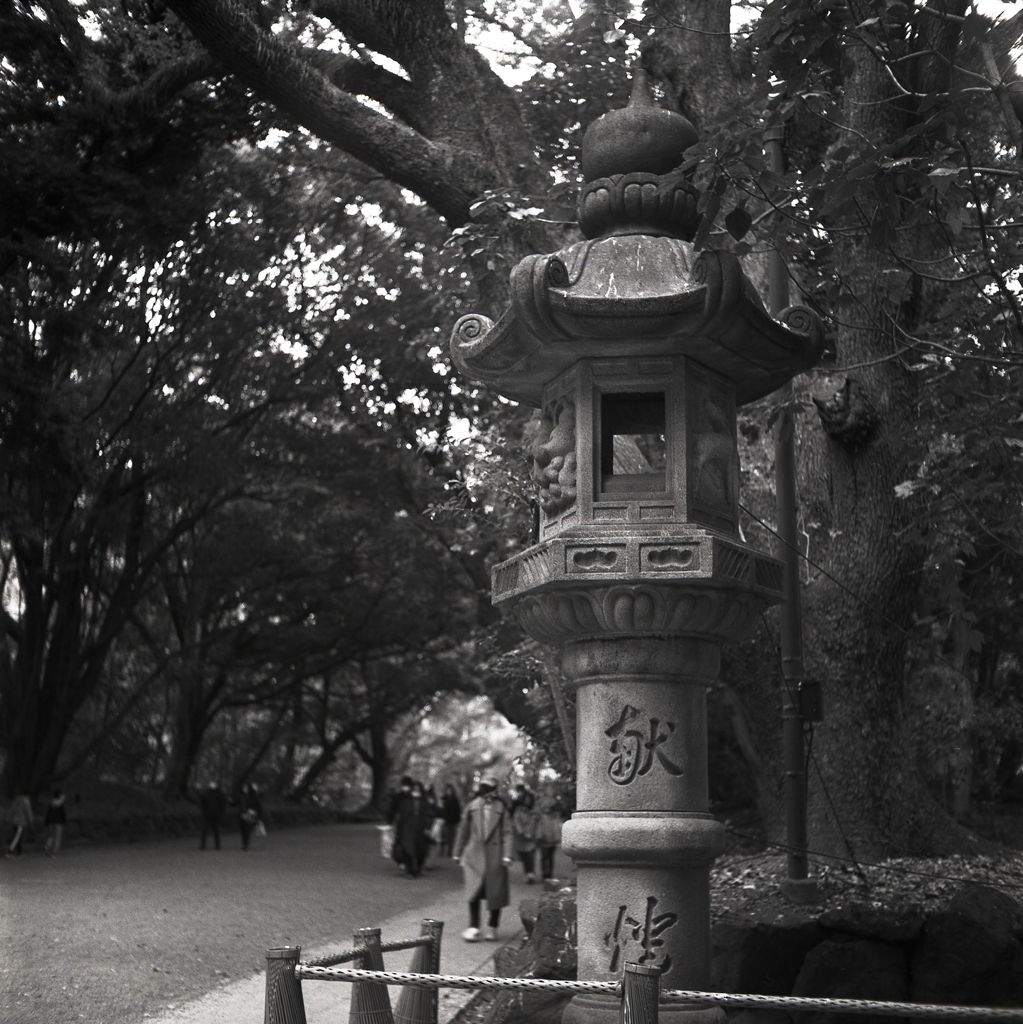 参道の石灯篭