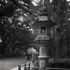 参道の石灯篭