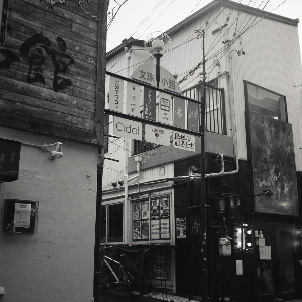 文珠小路