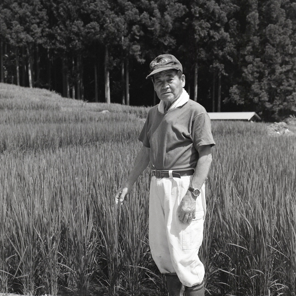 千枚棚田の御大