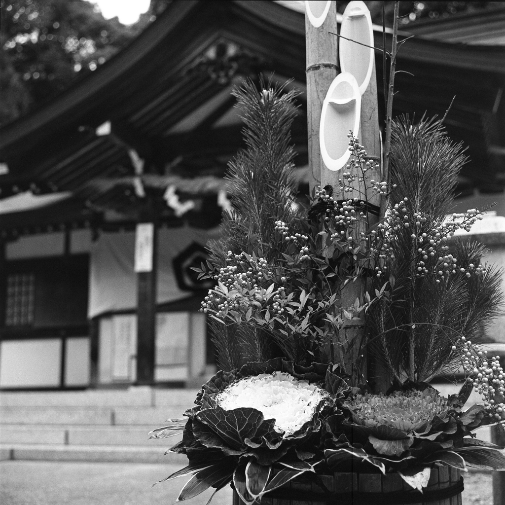 門松が立てられて…