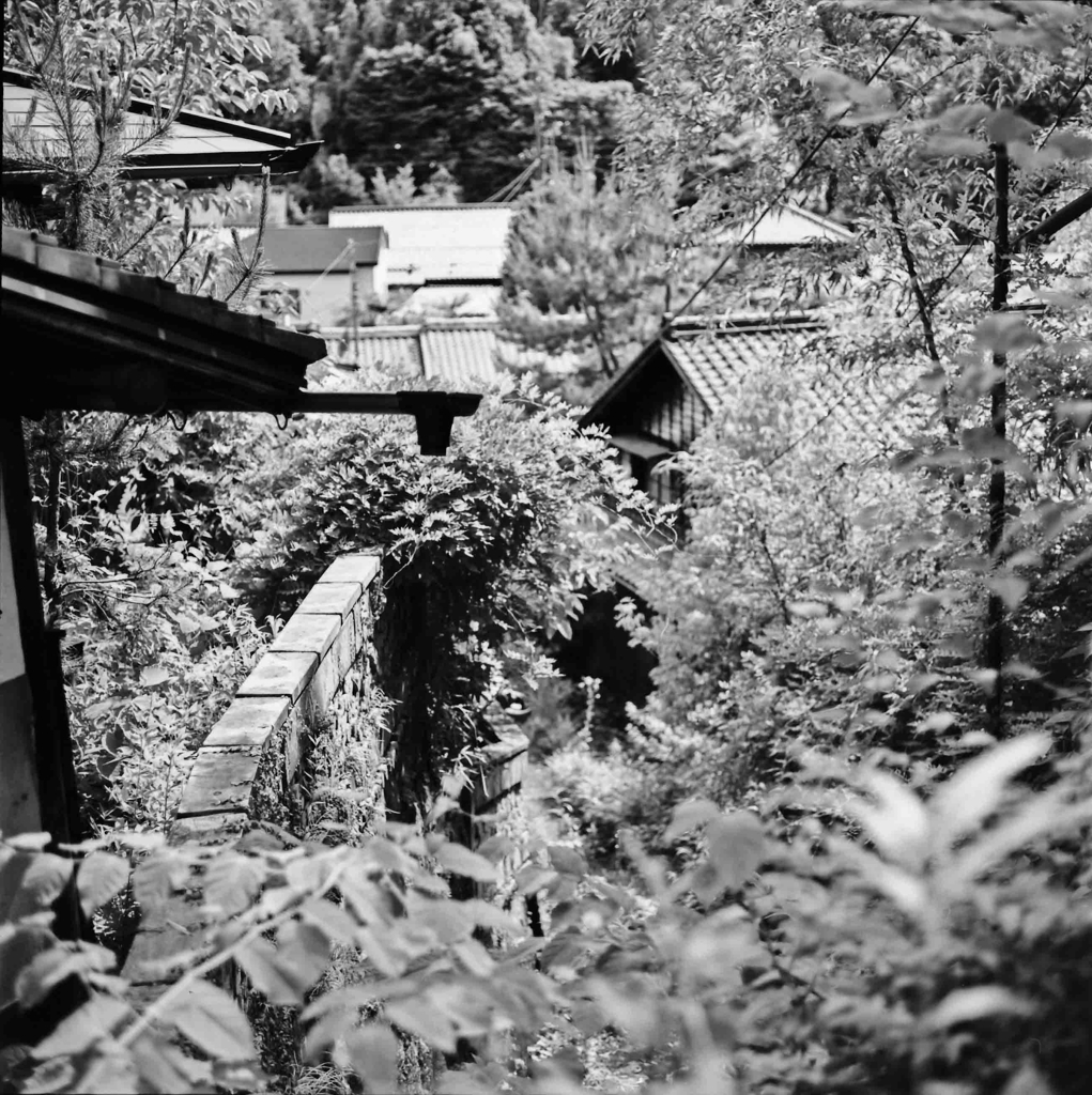 木々の中の瀬戸窯の町