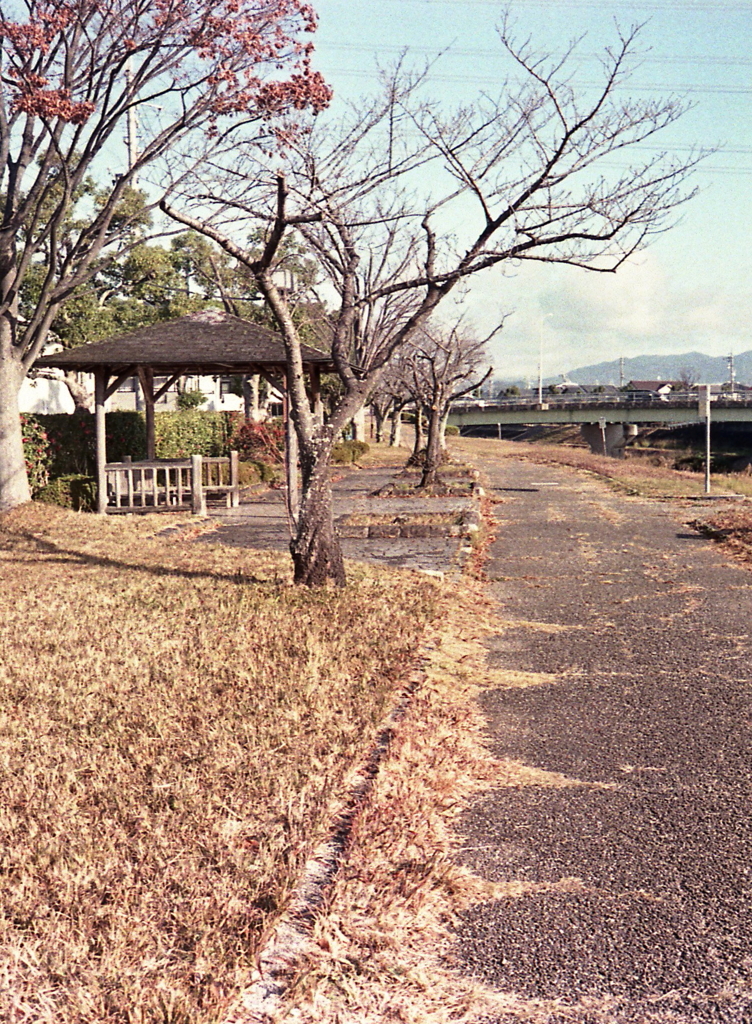 東屋のある散歩道　～ある男の朝ぶら散歩