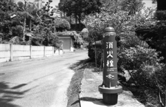 田舎道の消火栓