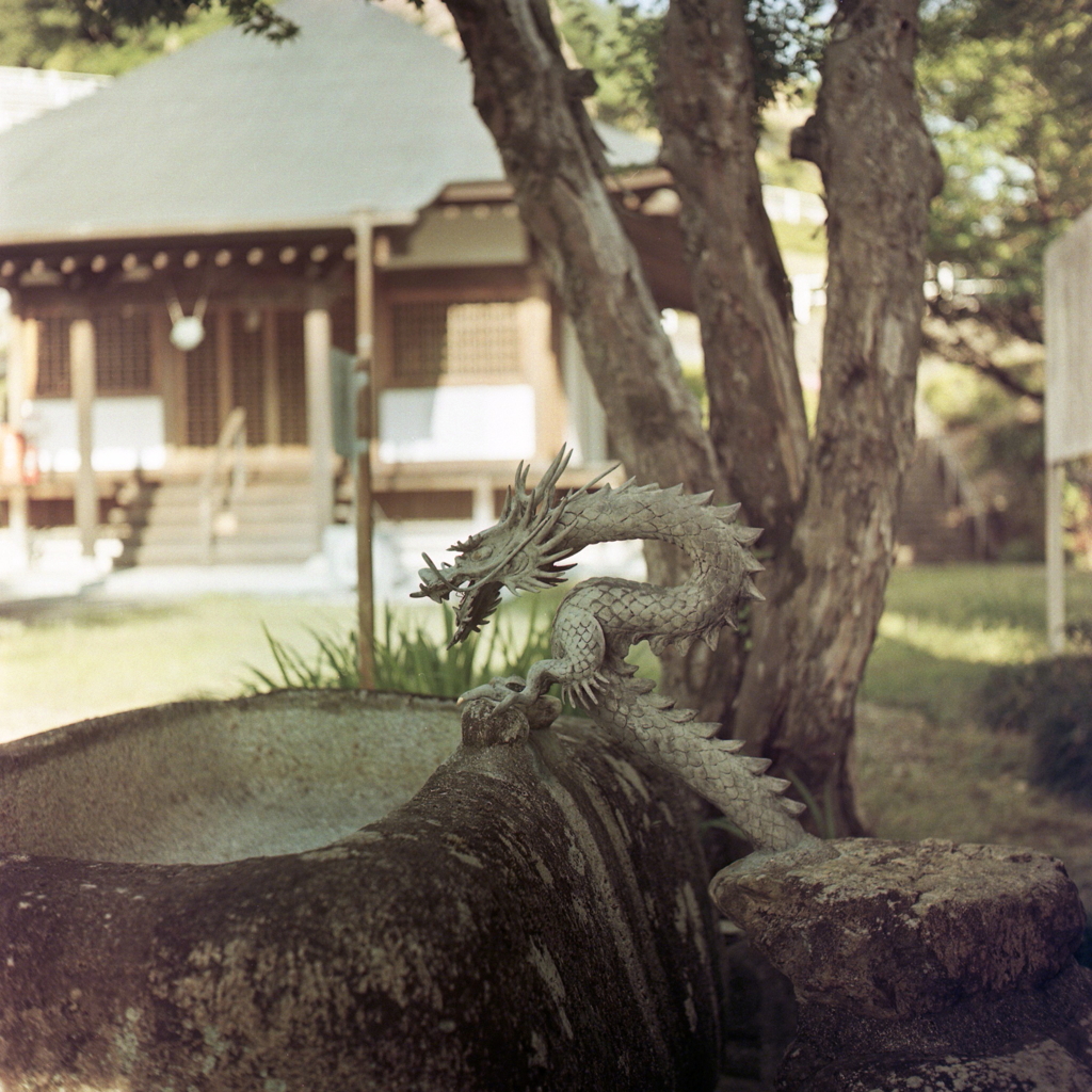 高蔵寺の竜口　～色補正あり。