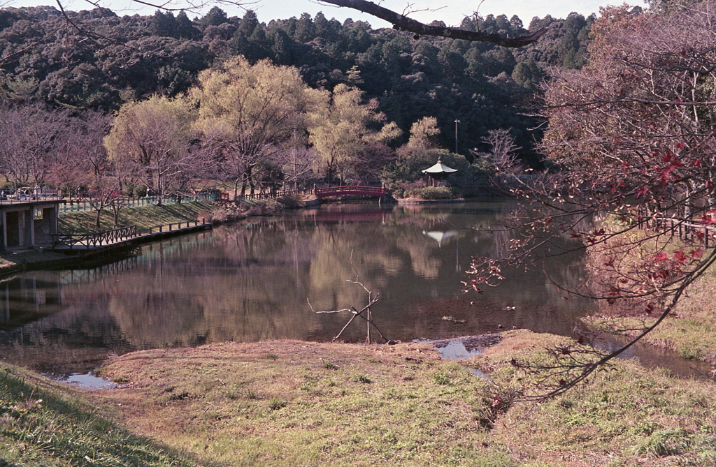 レチネッテの定光寺でした。
