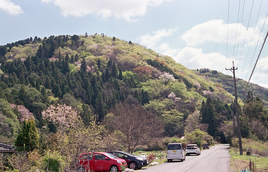 里山の春景色Ⅱ