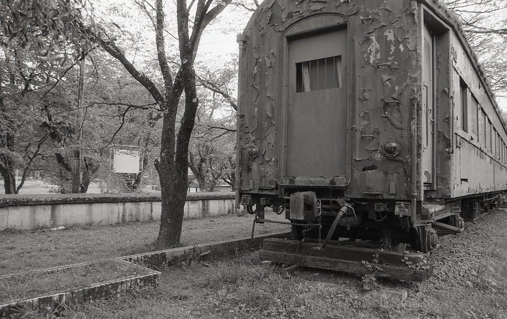 孤独な旧車を撮る