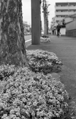 歩け歩け！の道すがら…
