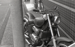 電柱脇のアメリカン