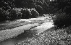 水面光る玉野川風景