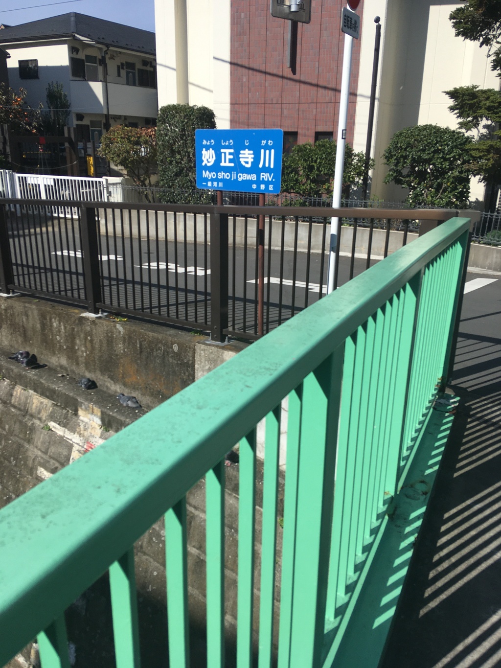 妙正寺川
