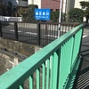 妙正寺川