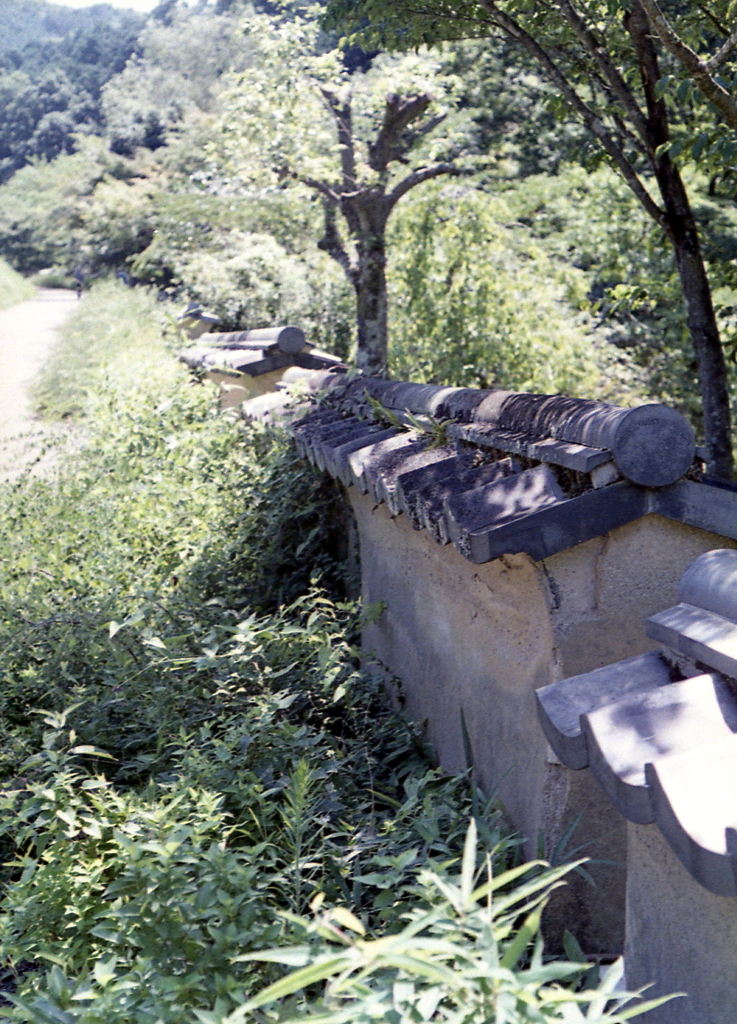 瓦塀を歩く　～豊田・松平郷にて