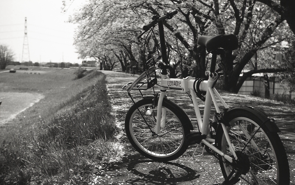 桜ロードのLeft Alone 90GTSpecial！