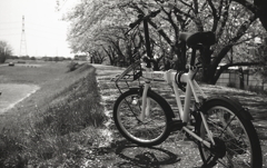 桜ロードのLeft Alone 90GTSpecial！