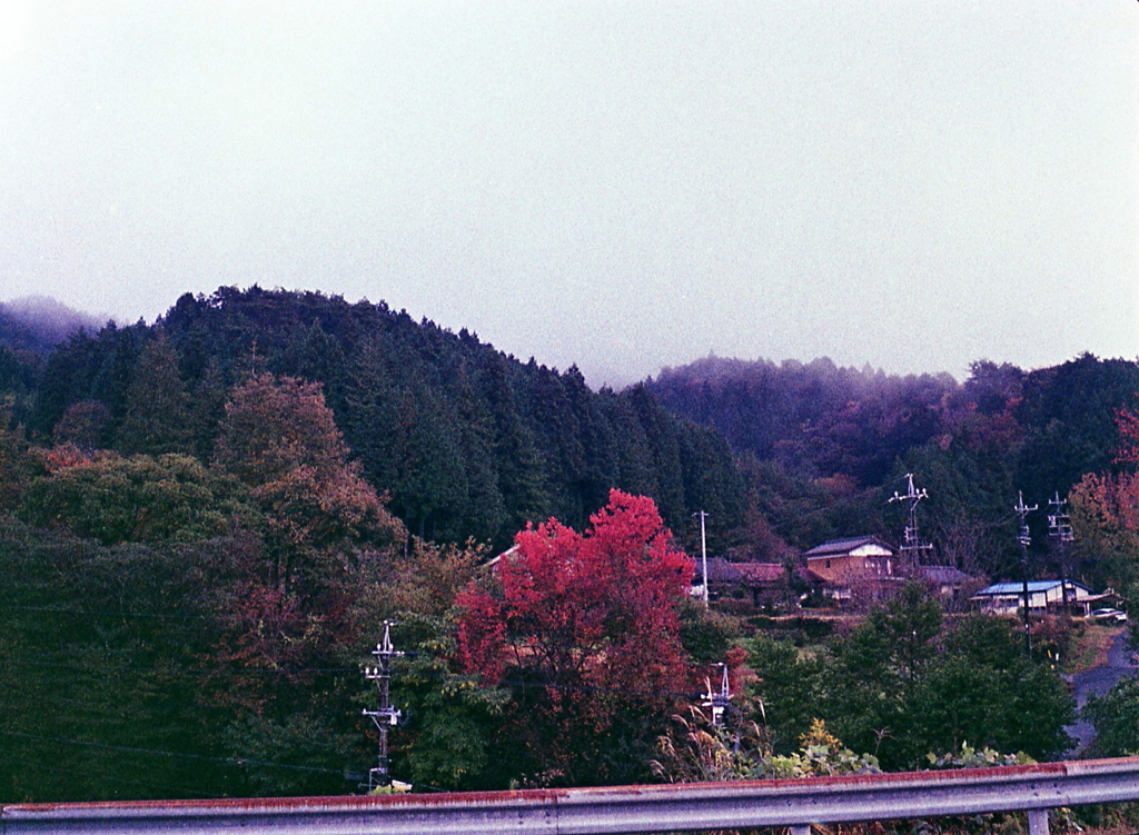 小諸の赤を見つけた。