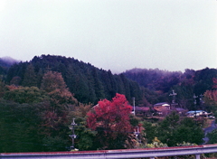 小諸の赤を見つけた。