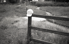 草花園のアポロキャップ