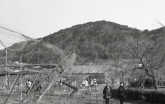 フルーツパークからモノクロの東谷山