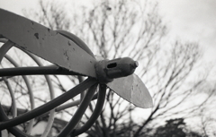 夕景のペラ 夕景のペラ