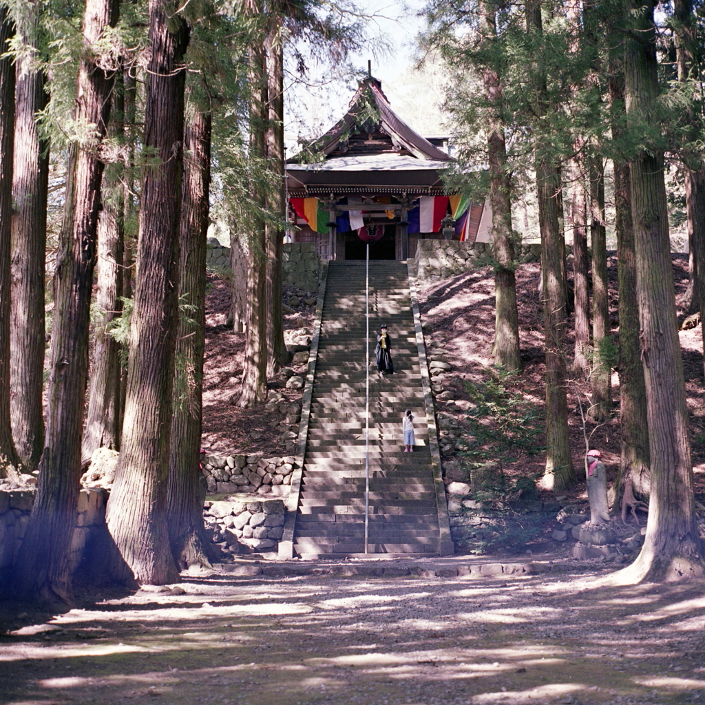 長い参道の石段