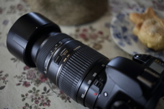 TAMRONAF70-300mm F4-5.6 Di MACRO TAMRONAF70-300mm F4-5.6 Di MACRO