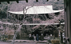山門から雪の定光寺 山門から雪の定光寺