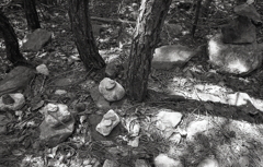 石積みを見つけた。