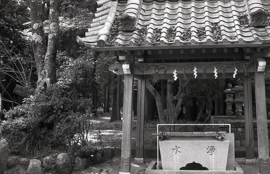 長宮さんの手水舎