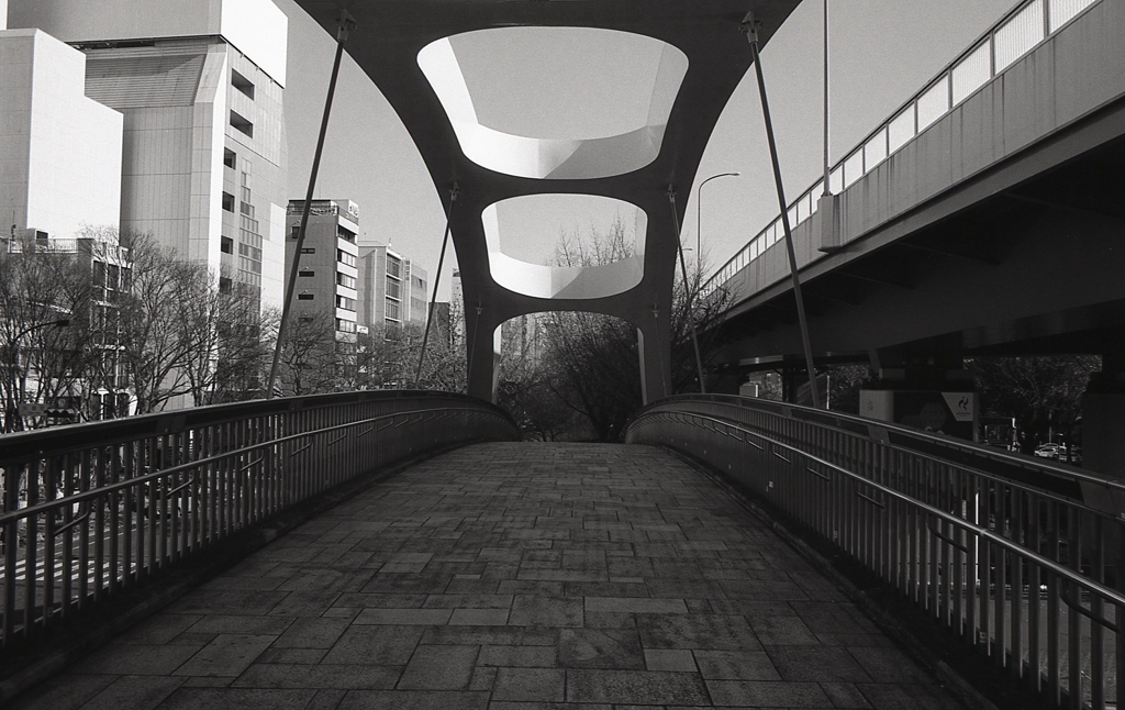 信号待ちでちょっと渡ってみた。