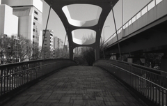 信号待ちでちょっと渡ってみた。