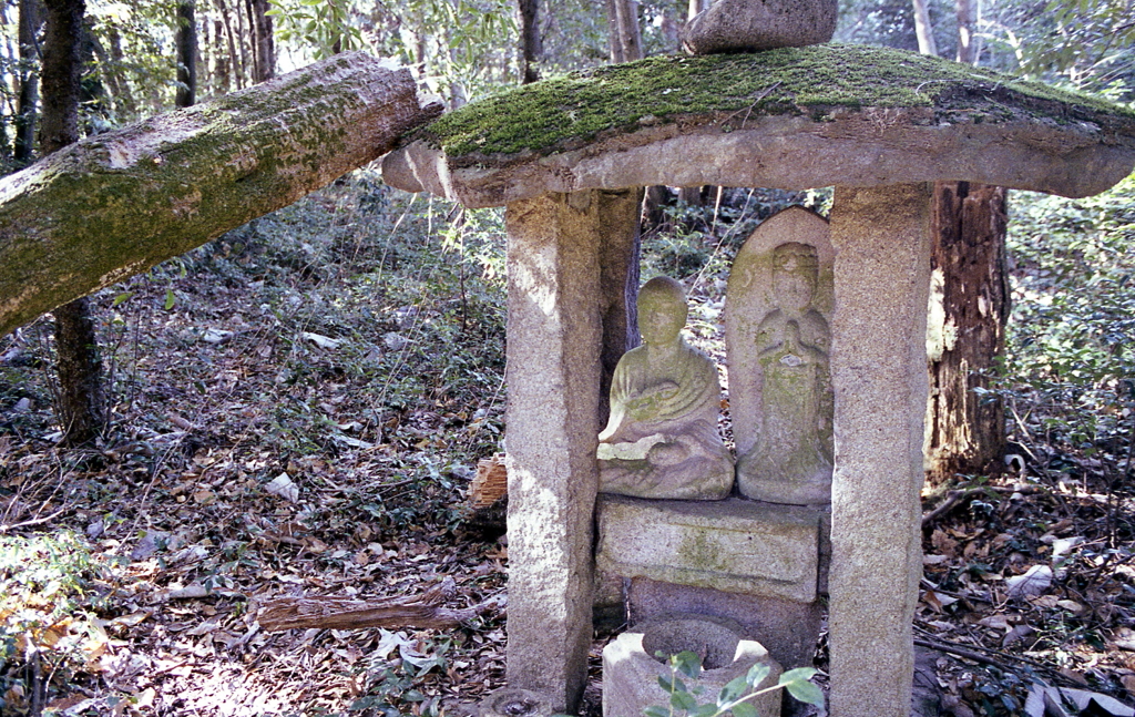 倒木を支える石祠