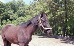 やはり自然な光が一番かな？