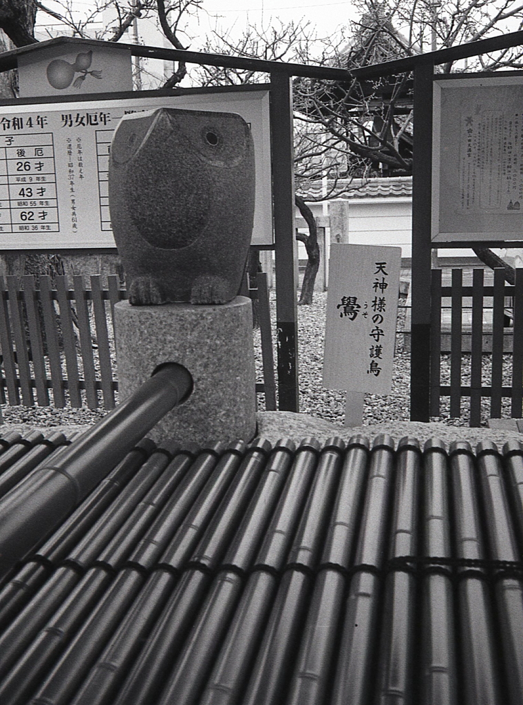 手水舎の鷽　～さよならPEN…