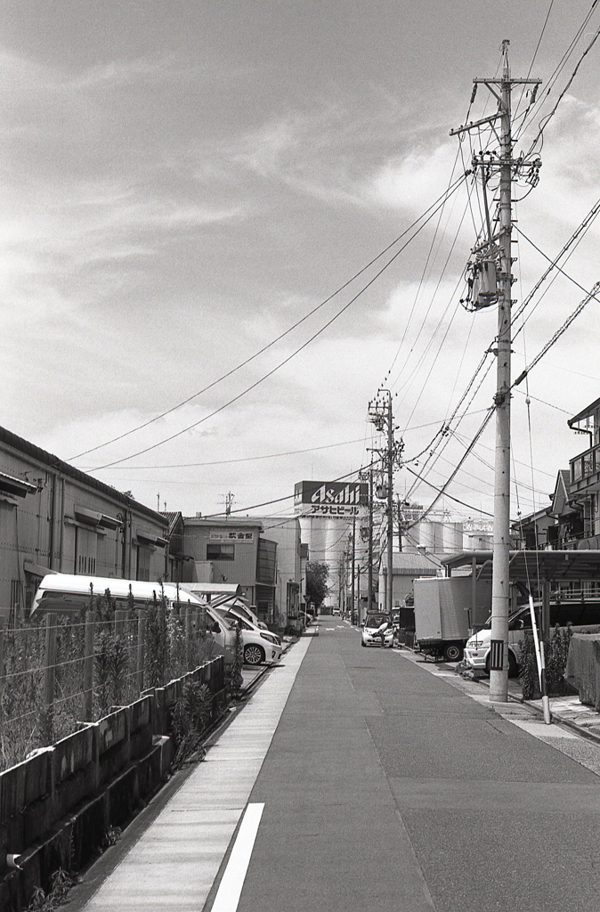 アサヒビールの見える道