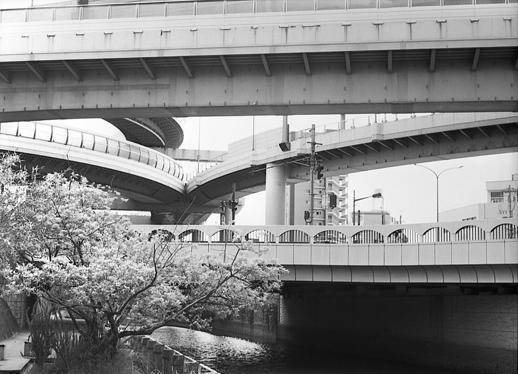 北清水橋