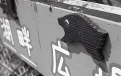 勿論イノシシはいます。（笑