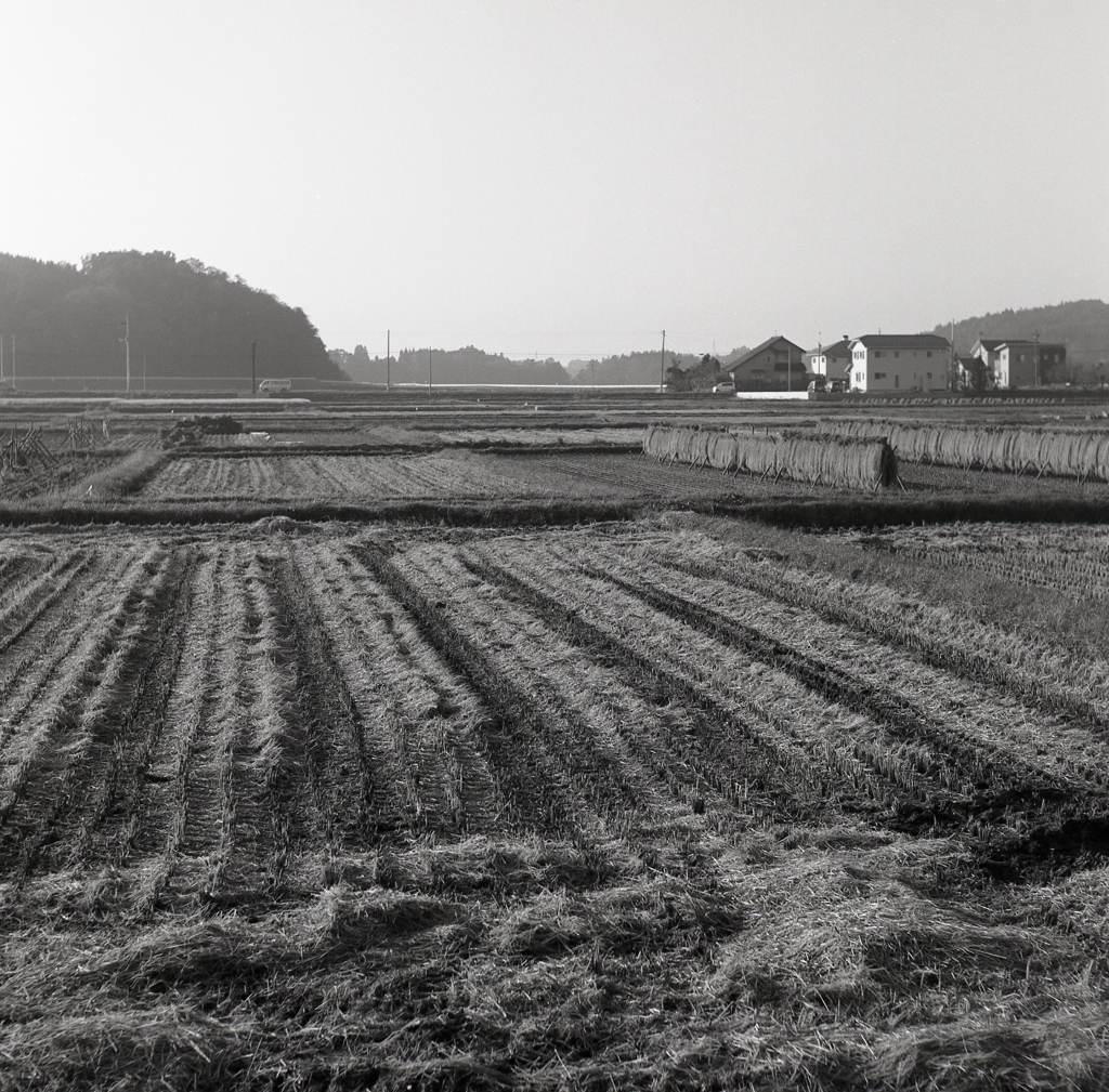 ２０１６年の福島県内陸部の田園風景
