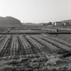 ２０１６年の福島県内陸部の田園風景