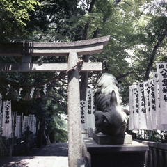 鳥居と注連縄