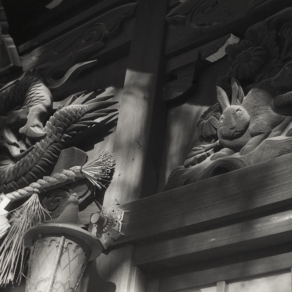 龍尾と白うさぎ　～レチネッテ比較画像