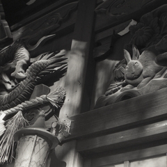 龍尾と白うさぎ　～レチネッテ比較画像