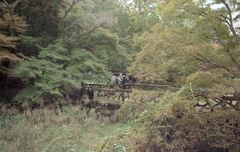 まだまだ緑の岩屋堂をあとに…