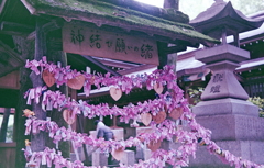 縁結びの若宮八幡