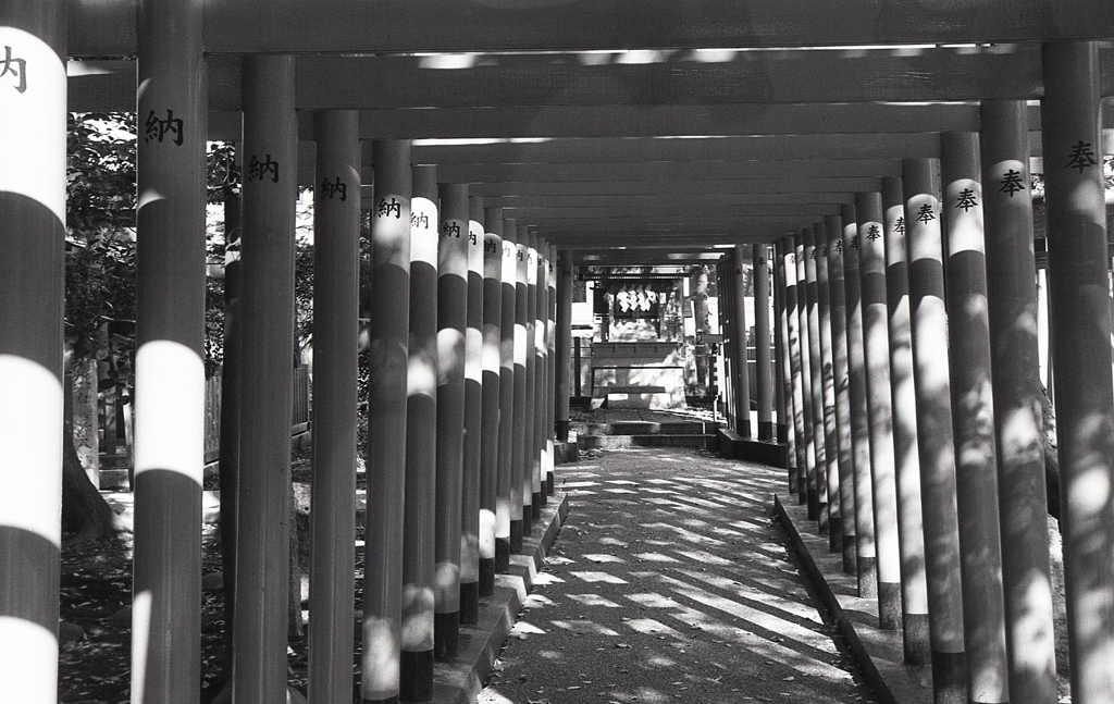 陽射しさす赤鳥居