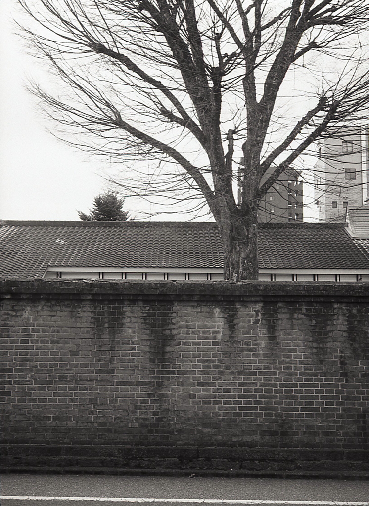 PEN EEはモノクロで撮れ！Ⅴ