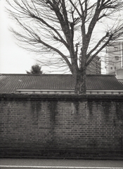 PEN EEはモノクロで撮れ！Ⅴ