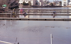 浮き桟橋の釣り人